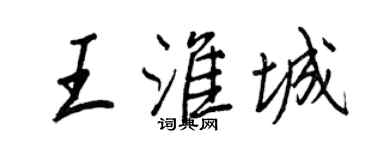 王正良王淮城行书个性签名怎么写