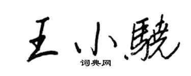 王正良王小骁行书个性签名怎么写