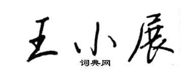 王正良王小展行书个性签名怎么写