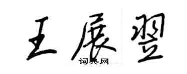 王正良王展翌行书个性签名怎么写