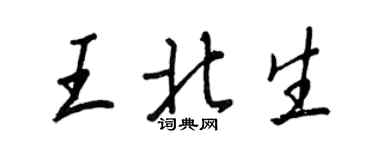 王正良王北生行书个性签名怎么写