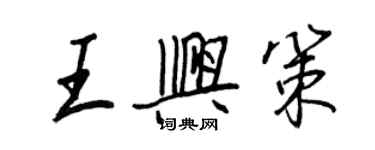 王正良王兴策行书个性签名怎么写