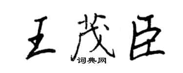 王正良王茂臣行书个性签名怎么写