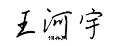 王正良王河宇行书个性签名怎么写