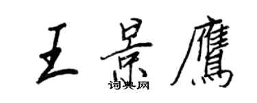 王正良王景鹰行书个性签名怎么写