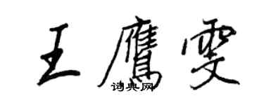 王正良王鹰雯行书个性签名怎么写