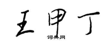 王正良王甲丁行书个性签名怎么写