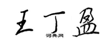 王正良王丁盈行书个性签名怎么写