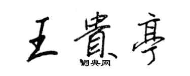 王正良王贵亭行书个性签名怎么写