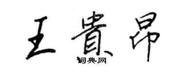 王正良王贵昂行书个性签名怎么写