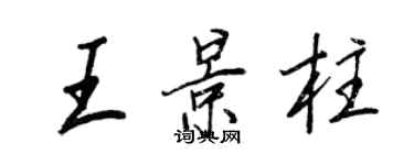 王正良王景柱行书个性签名怎么写