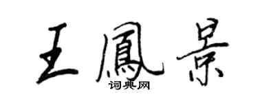 王正良王凤景行书个性签名怎么写