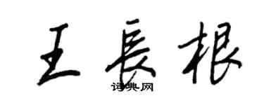 王正良王长根行书个性签名怎么写