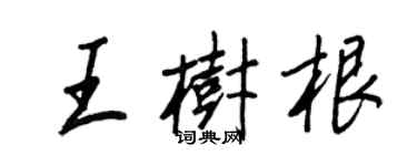王正良王树根行书个性签名怎么写