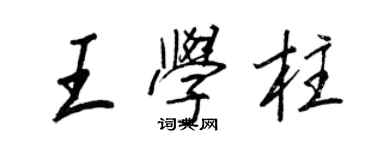 王正良王学柱行书个性签名怎么写