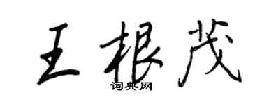 王正良王根茂行书个性签名怎么写