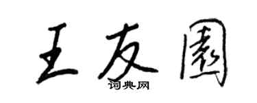 王正良王友园行书个性签名怎么写
