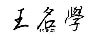 王正良王名学行书个性签名怎么写