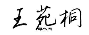 王正良王苑桐行书个性签名怎么写