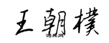 王正良王朝朴行书个性签名怎么写