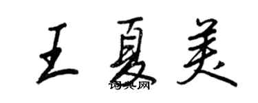 王正良王夏美行书个性签名怎么写
