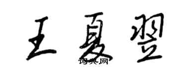 王正良王夏翌行书个性签名怎么写