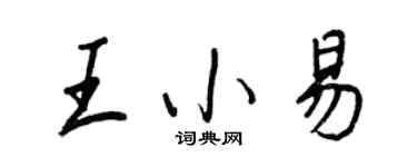 王正良王小易行书个性签名怎么写