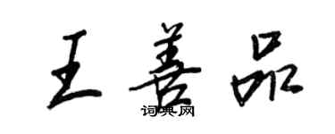 王正良王善品行书个性签名怎么写