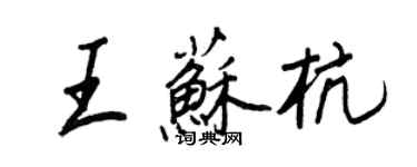 王正良王苏杭行书个性签名怎么写