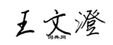 王正良王文澄行书个性签名怎么写