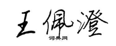 王正良王佩澄行书个性签名怎么写