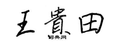 王正良王贵田行书个性签名怎么写