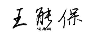 王正良王能保行书个性签名怎么写