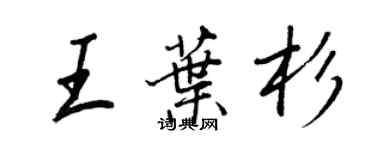 王正良王叶杉行书个性签名怎么写