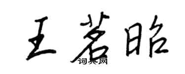 王正良王茗昭行书个性签名怎么写