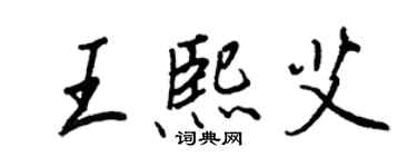 王正良王熙艾行书个性签名怎么写