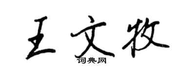 王正良王文牧行书个性签名怎么写