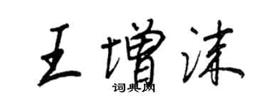 王正良王增沫行书个性签名怎么写