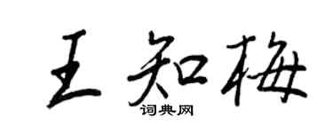 王正良王知梅行书个性签名怎么写