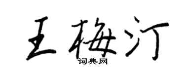 王正良王梅汀行书个性签名怎么写