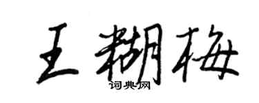 王正良王糊梅行书个性签名怎么写