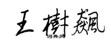 王正良王树飙行书个性签名怎么写