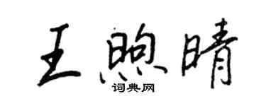 王正良王煦晴行书个性签名怎么写