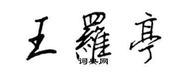 王正良王罗亭行书个性签名怎么写