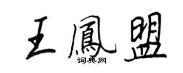 王正良王凤盟行书个性签名怎么写