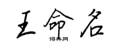 王正良王命名行书个性签名怎么写