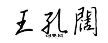 王正良王孔阔行书个性签名怎么写