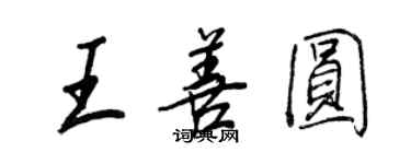 王正良王善圆行书个性签名怎么写