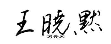 王正良王晓默行书个性签名怎么写
