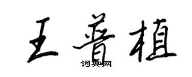 王正良王普植行书个性签名怎么写